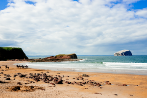 Shores of East Lothian 